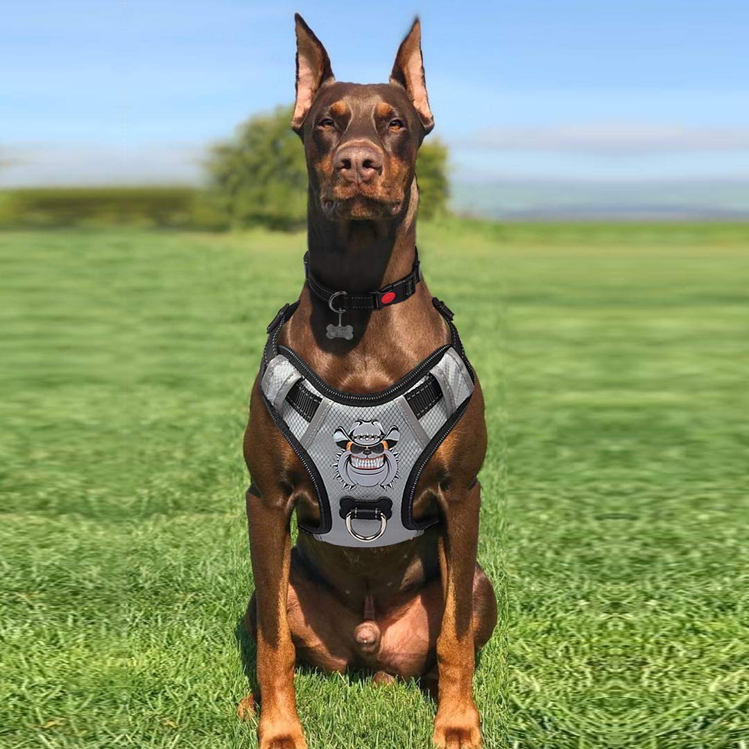 x vest for dogs