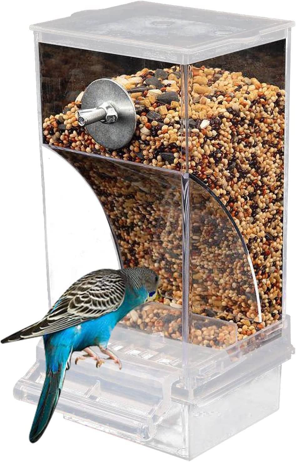 10 Best Automatic Parrot Bird Feeders for Hasslefree Feeding