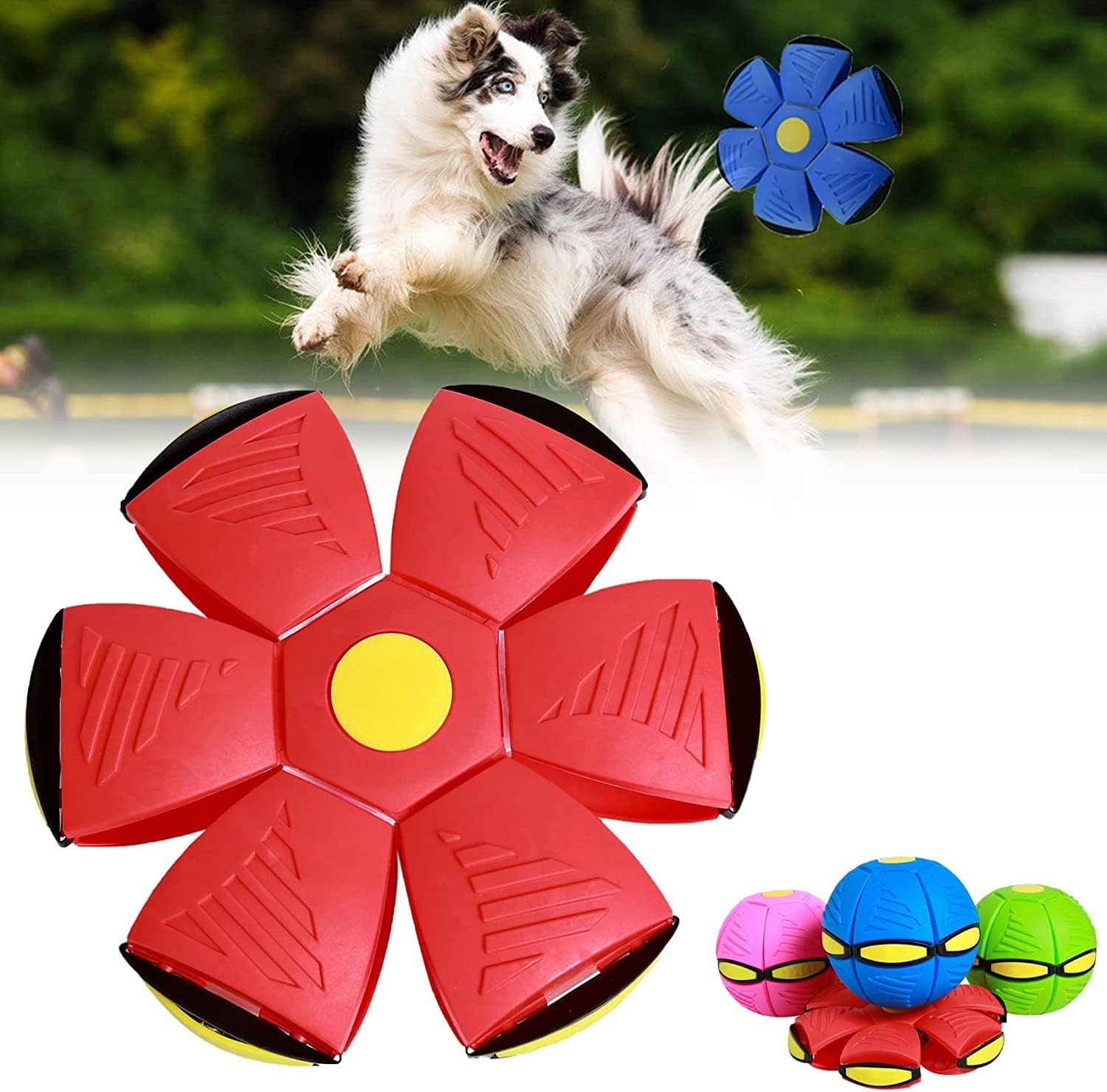 Pet Supplies 2023 New Pet Toy Flying Saucer Ball,Flying Saucer Ball
