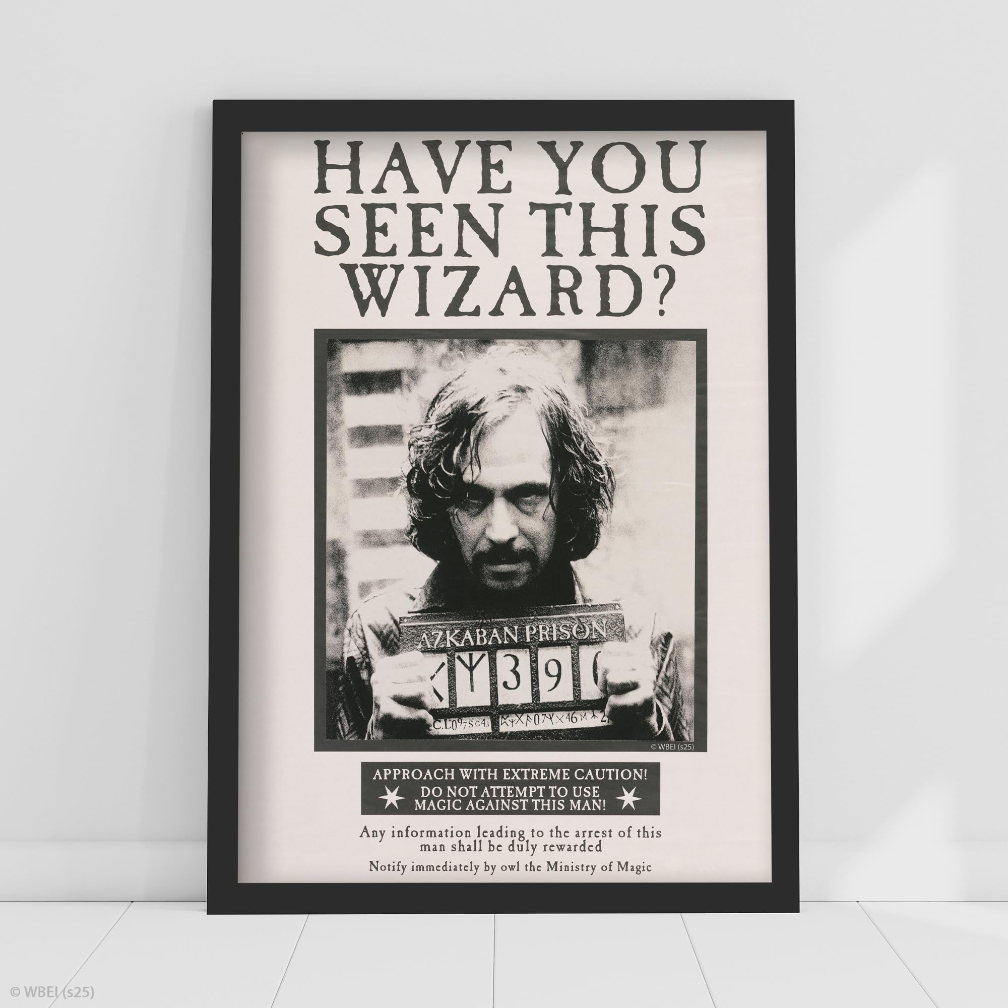 Themed Multicolour Harry Potter Print - Have You Seen This Wizard Sirius Black Poster Wall Art (21Cm X 29.7Cm - A4)