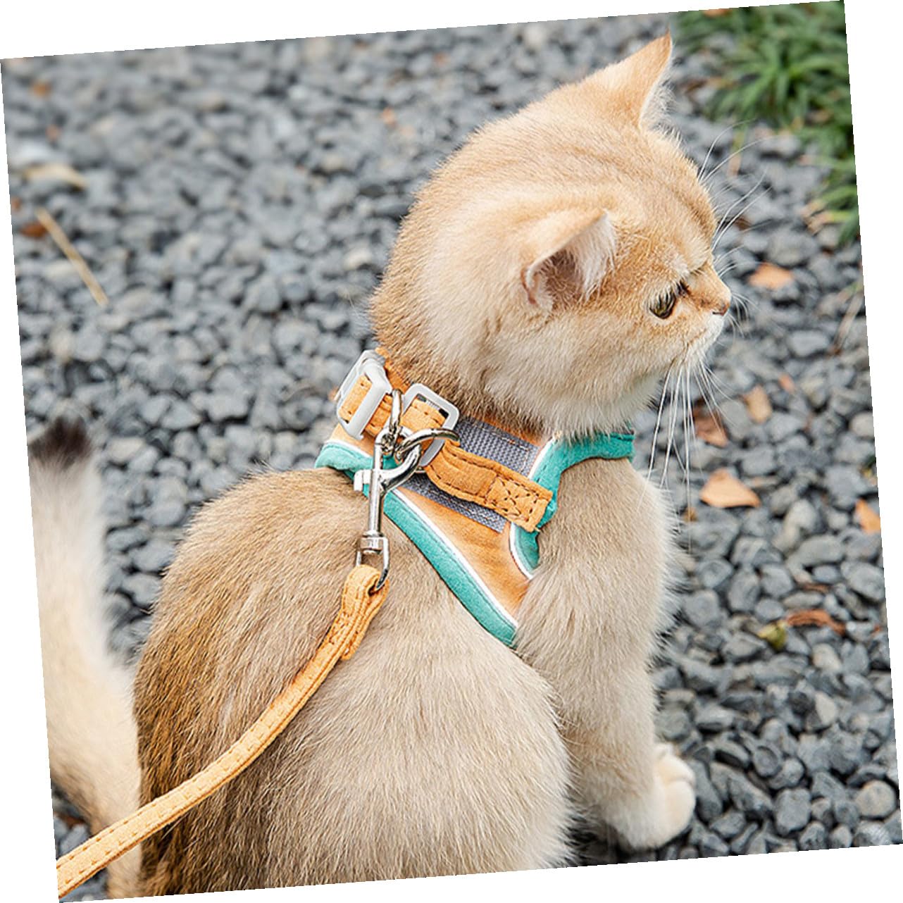 Happyyami 3sätze Katzen Geschirr Mit Verstellbarem Brustgurt Reflektierendes Ausbruchsicheres Katzengeschirr Für Kleine Und Mittlere Katzen Leichtes Und Bequemes Design Für Und