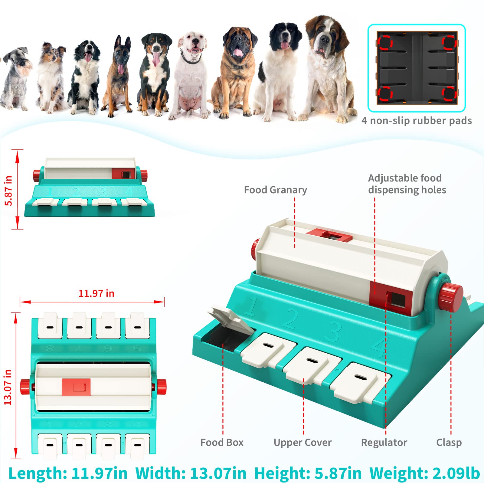 Amazon | Hirolu (ブルーローラートイズ) Blue Roller Toys 犬用