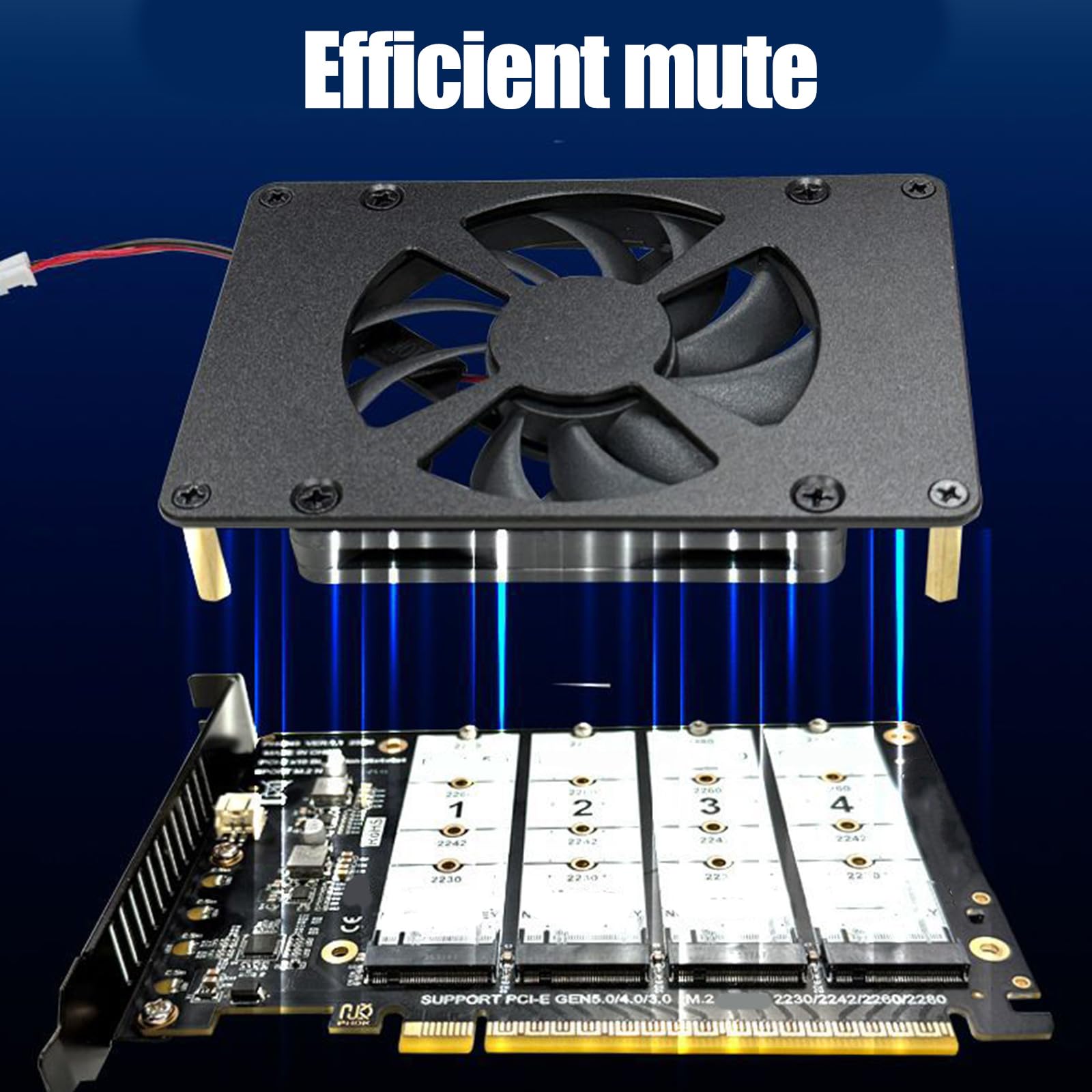 Scheda di espansione PCIe X16 supporta scheda di espansione NVMe PCIe X16 con ventola di raffreddamento per adattatore di capacità di archiviazione