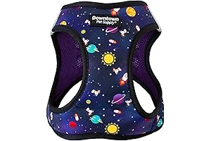 Downtown Pet Supply Buzz Lightyear Dog Harness: The Ultimate Space-Themed Adventure Gear...