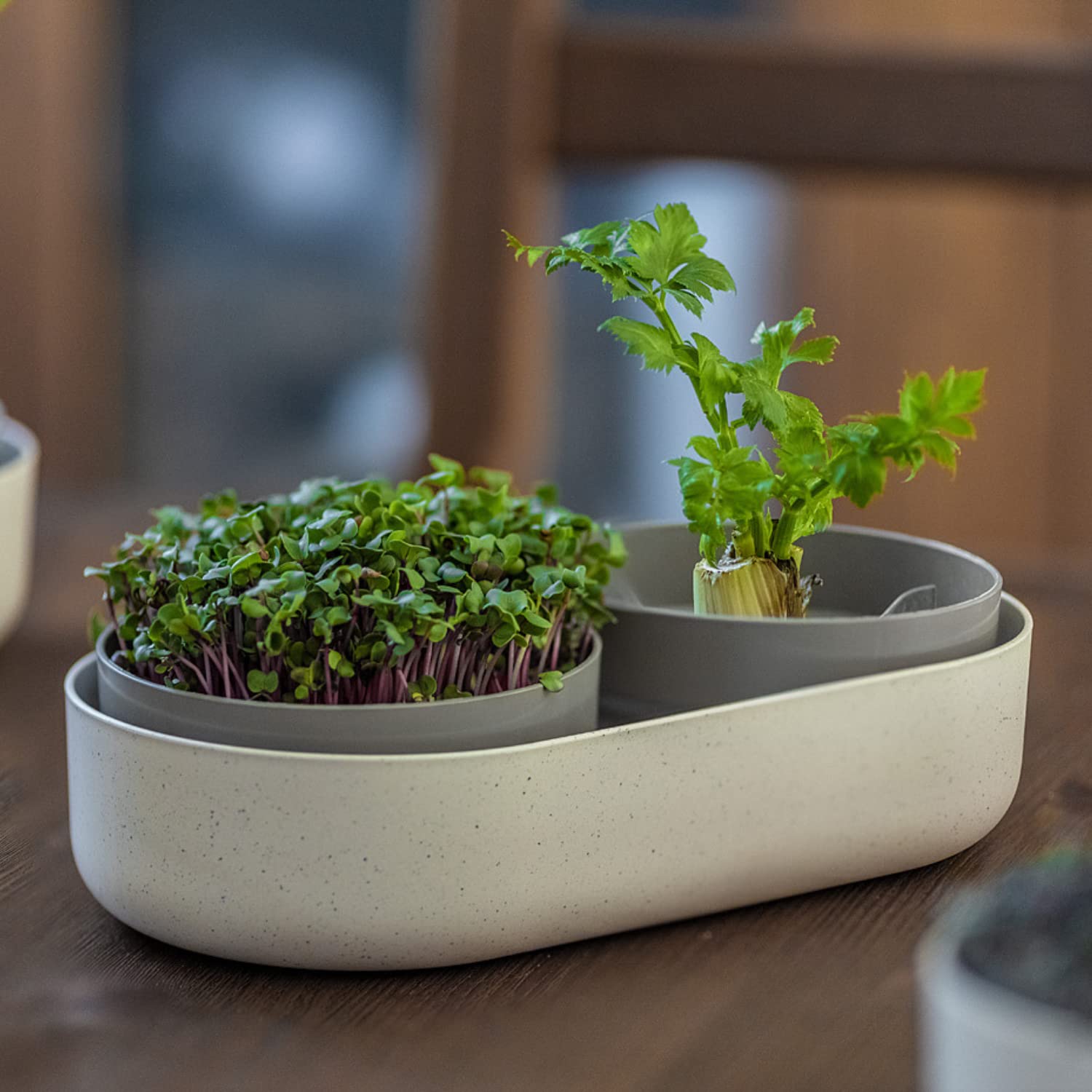 Urbalive 2-in-1 große Keimschale Set - 2X Kresse Anzuchtschale für Sprossen, Kressesamen, Microgreens - Design Kressesieb aus hochwertigem Kunststoff - Keimsprossenbox Keimgerät mit Regrow Option
