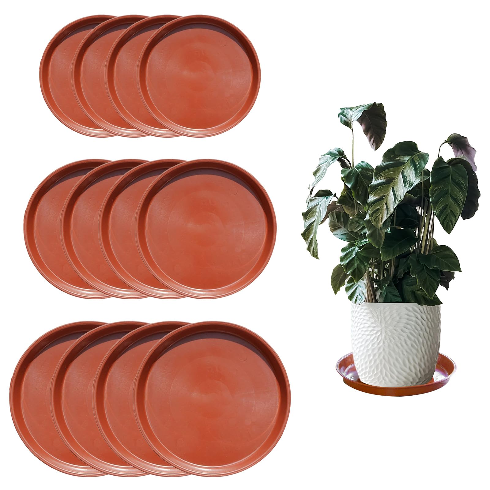 YAZANY 12Pcs Plant Saucers,Round Plant Trays for Pots Durable Plastic Plant Pot Trays in 3 Sizes, Waterproof Plant Pot Saucers for Indoor Outdoor Garden Balcony Plants