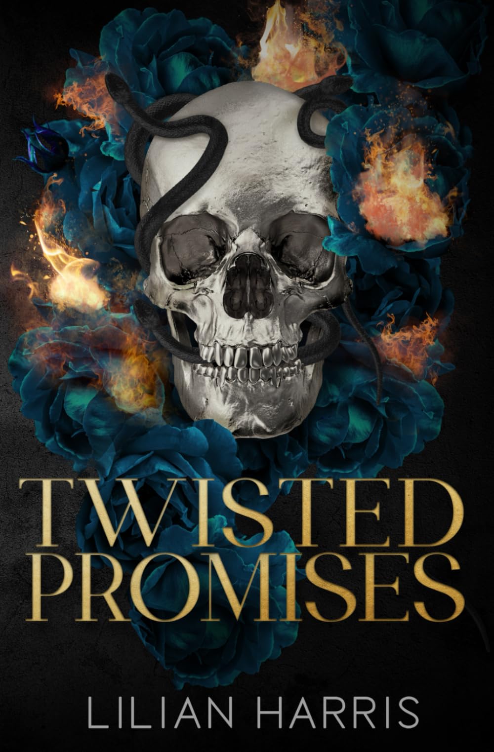 Twisted Promises: A Reverse Grumpy Sunshine Mafia Romance: 3 (Messina Crime Family)