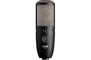 Professional Audio Condenser Microphone with XLR Connector for Studio Recording