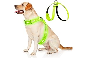 Light Up Rechargeable Led Dog Harness, Glowing in the Dark Lighted for Night Walking
