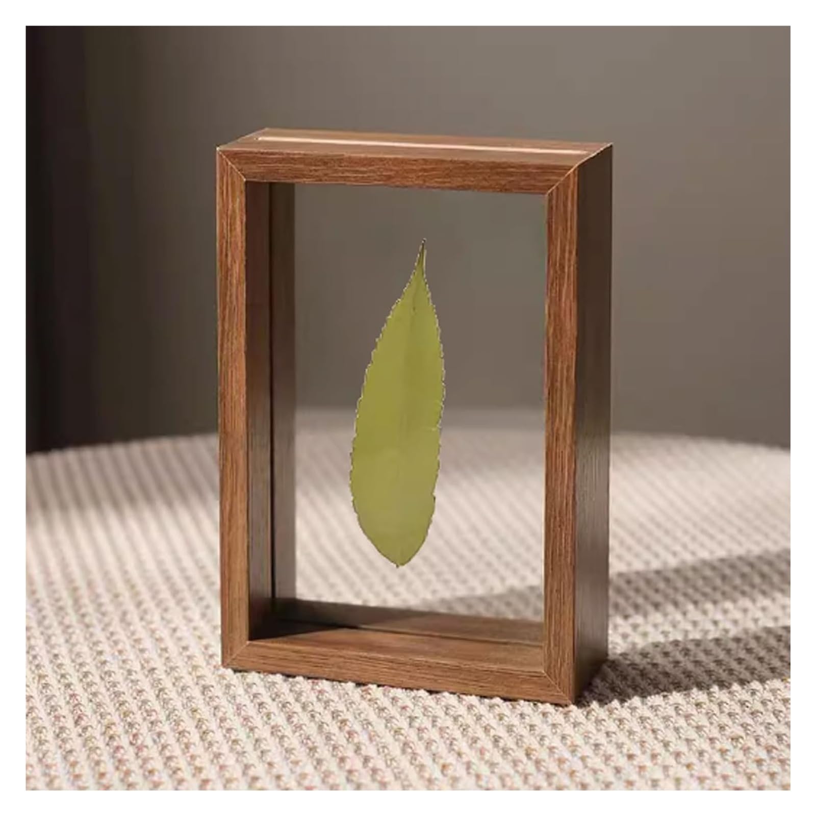 a4 frame, Double Sided Floating Glass Plant and Leaf Specimen Photo Frame Multicolor(Coffee,A4 (21 * 29.7cm))