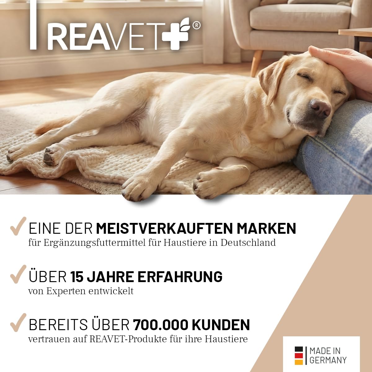 ReaVET MagenMild Poudre pour Chiens 500g - rééducation intestinale Chien Accumulation Flore intestinale, en Cas de diarrhée Chien, Gastro-intestinal Chien, Protection estomac Chien