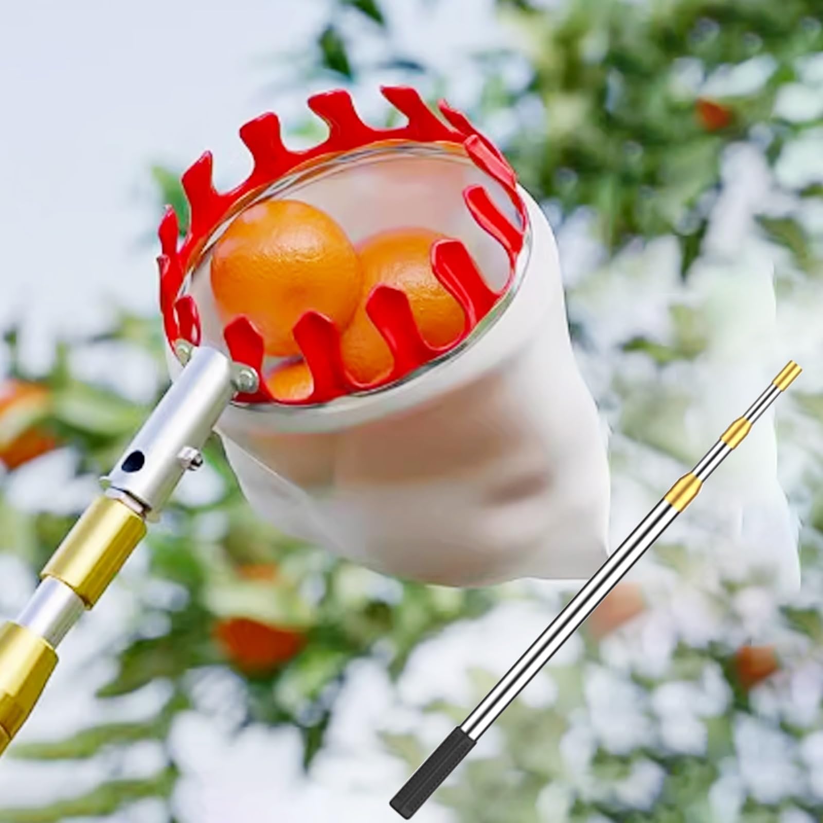 Obstpflückstange, Obstbaumpflücker mit Korb, Teleskop-Obstpflücker Edelstahl, Feigenpflücker for Aprikose, Birne, Orange, Mehrere(2.1m)
