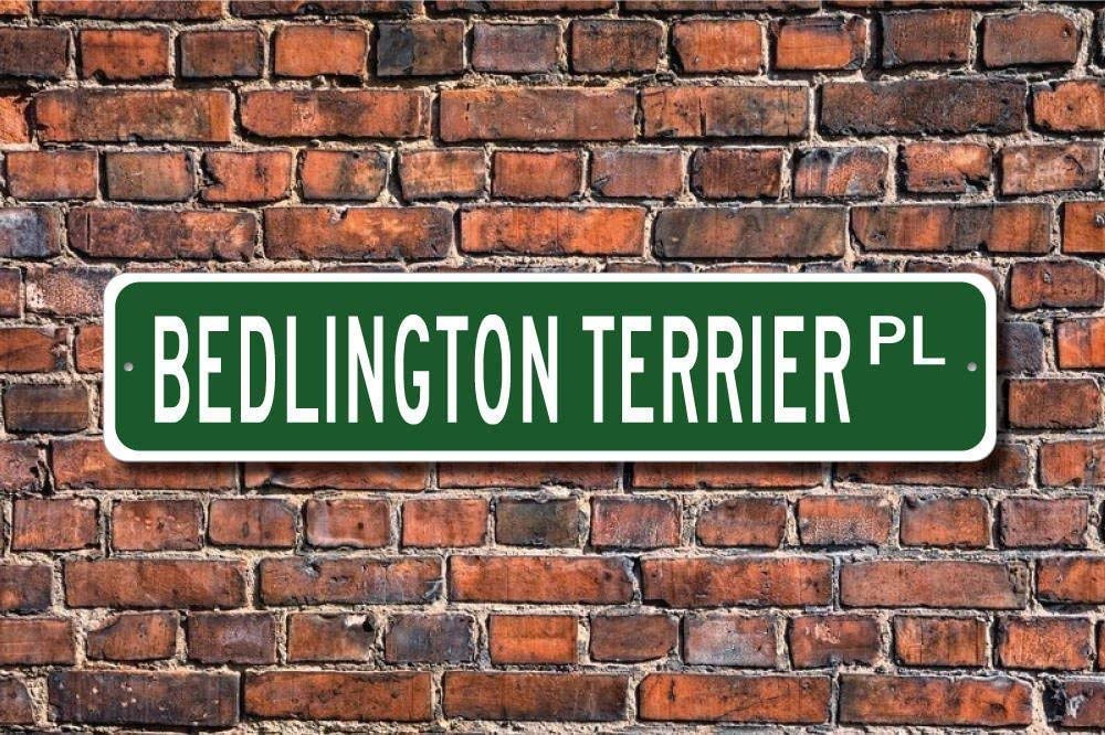 TNND Bedlington Terrier Gift Bedlington Terrier Sign Dog Lover Gift Metal Sign For Outdoor Indoor Use Yard Fence Street Sign 4x16 inches