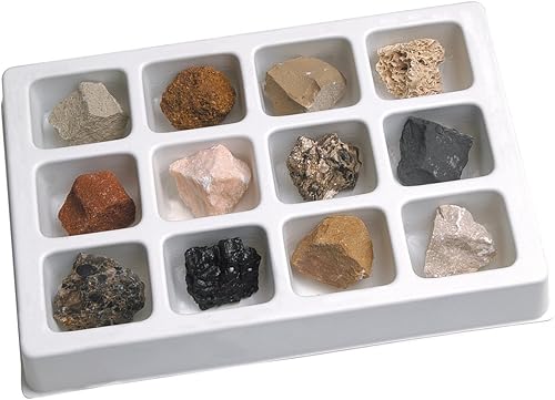 Educational Insights Metamórphic Rock Collection - Juego de 12 ejemplares seleccionados a mano en una bandeja de almacenamiento