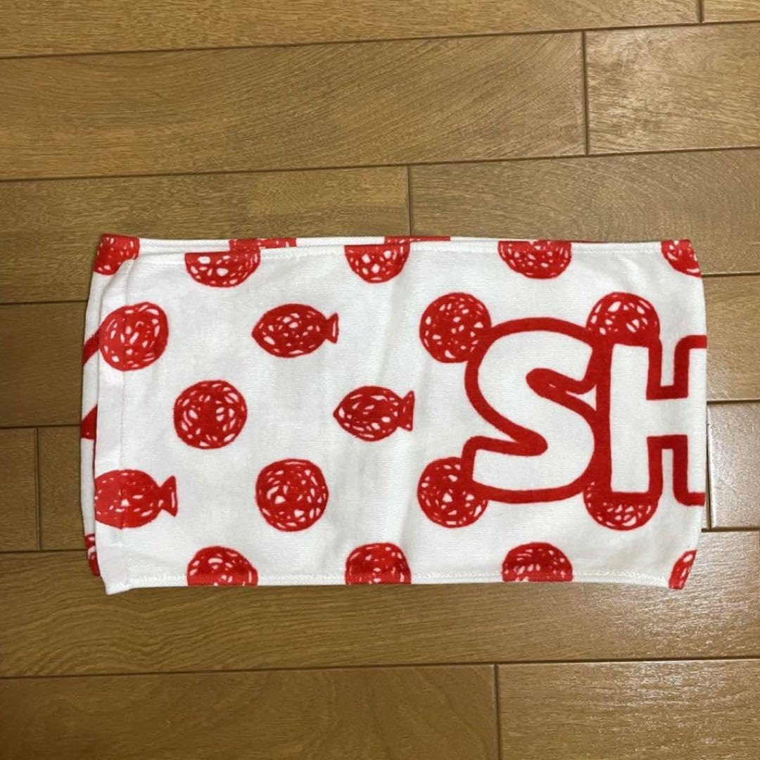Amazon.co.jp: SHISHAMO マフラータオル 2017年SHIHAMO NO YAON