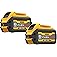 DEWALT DCB606-2 20/60V Max Flexvolt 6.0 Ah Battery Dual Pack