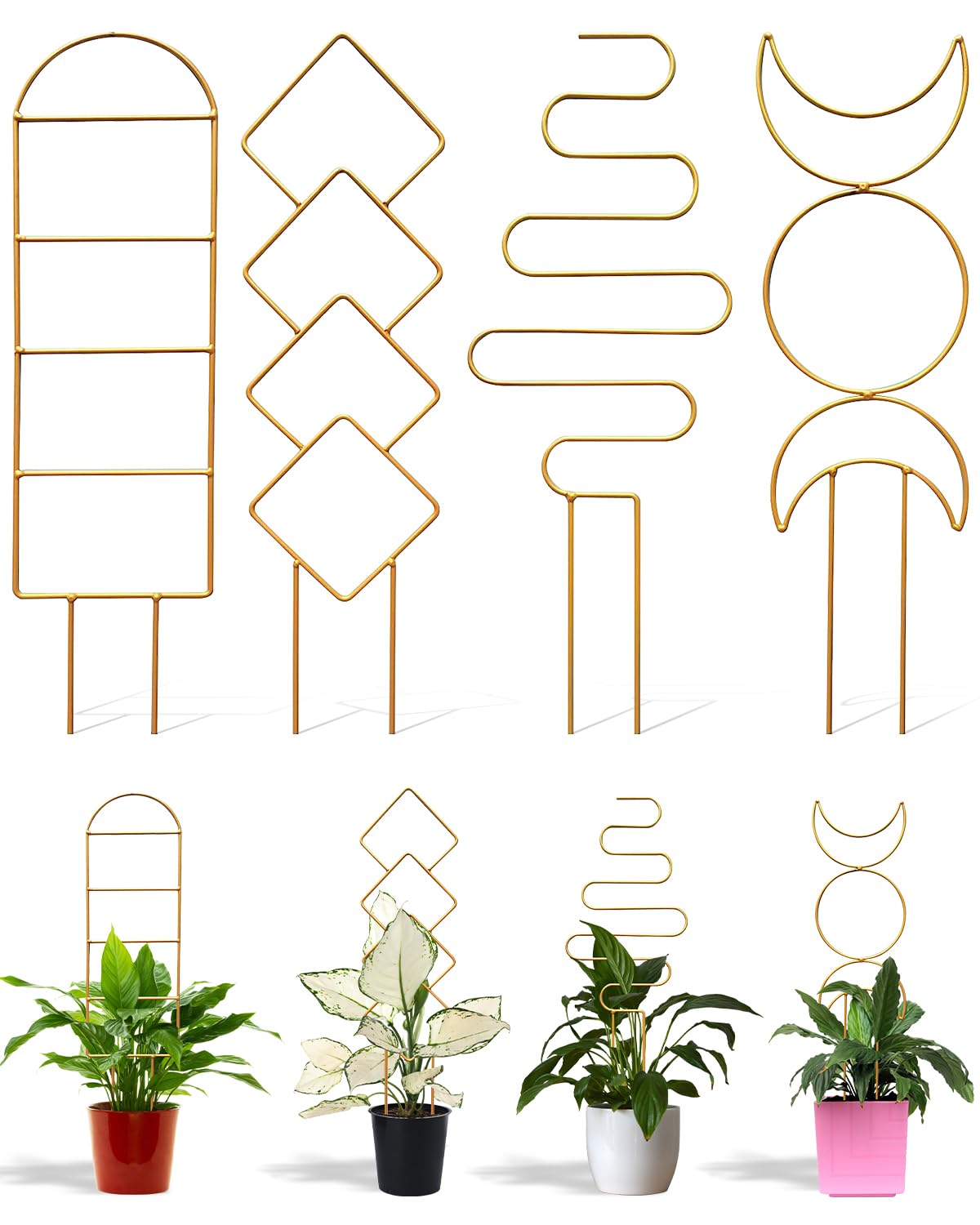 Heavy Duty Metal Multi Shape Plant Support Golden Trellis Climbing Plant Holder for Indoor & Outdoor-image-19