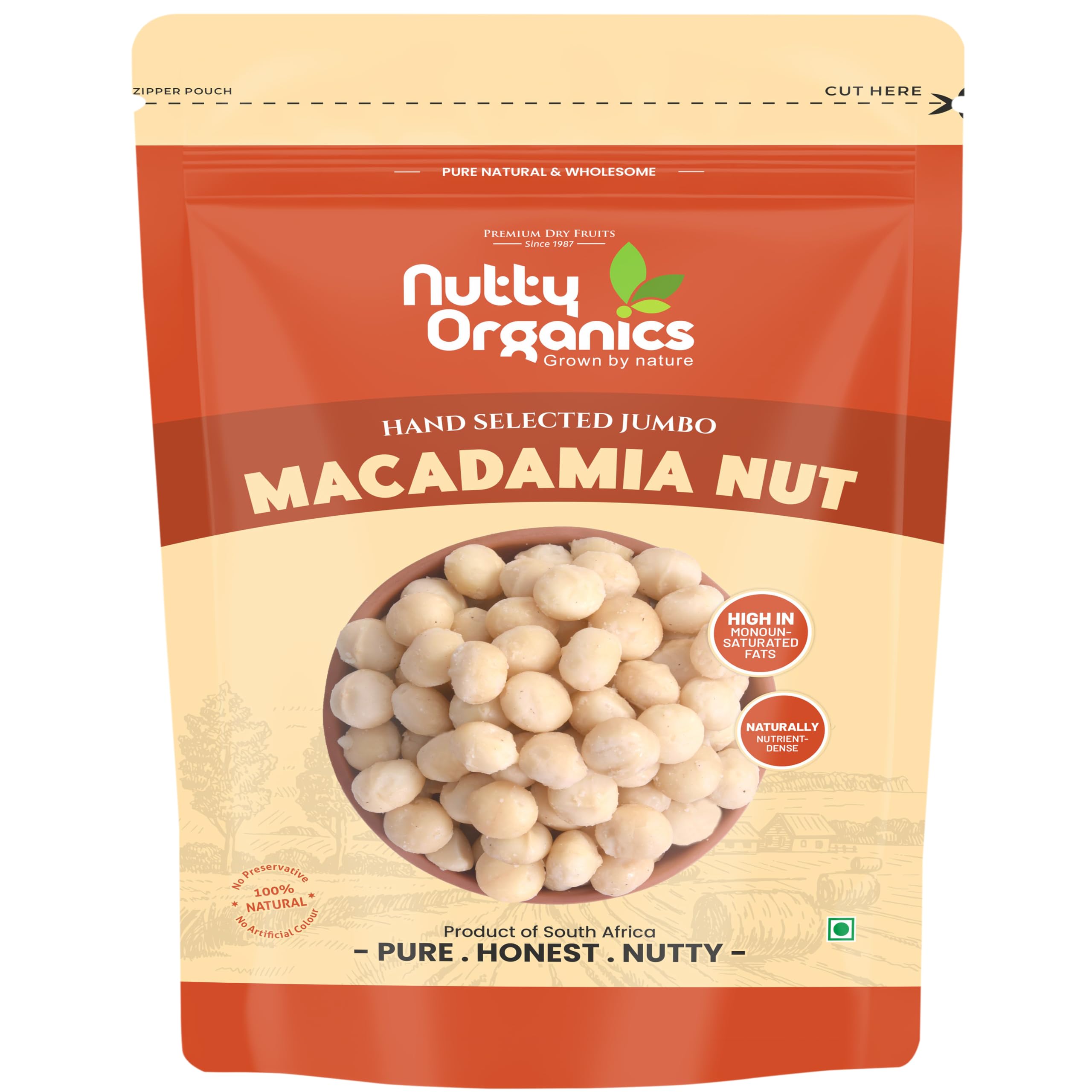 NUTTY ORGANICS Macadamia Nuts - 250 GM | Imported (Grade A ++ Nuts, Premium Jumbo Size, Imported)-image-25