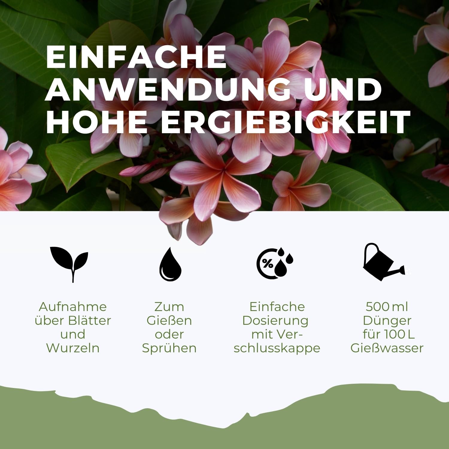 Konfitee Frangipani Plumeria Dünger Flora Boost 5000ml I Für bis zu 1000L Gießwasser I Dünger für Frangipani Tempelbaum I Flüssiger Blatt- & Wurzeldünger I 100% natürlicher Pflanzendünger