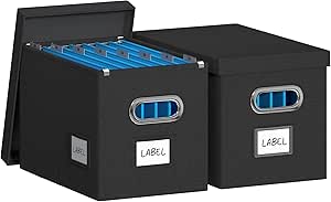 Amazon.com: DYWMM Hanging File Box with Lid, Set of 2 Filing Organizer ...