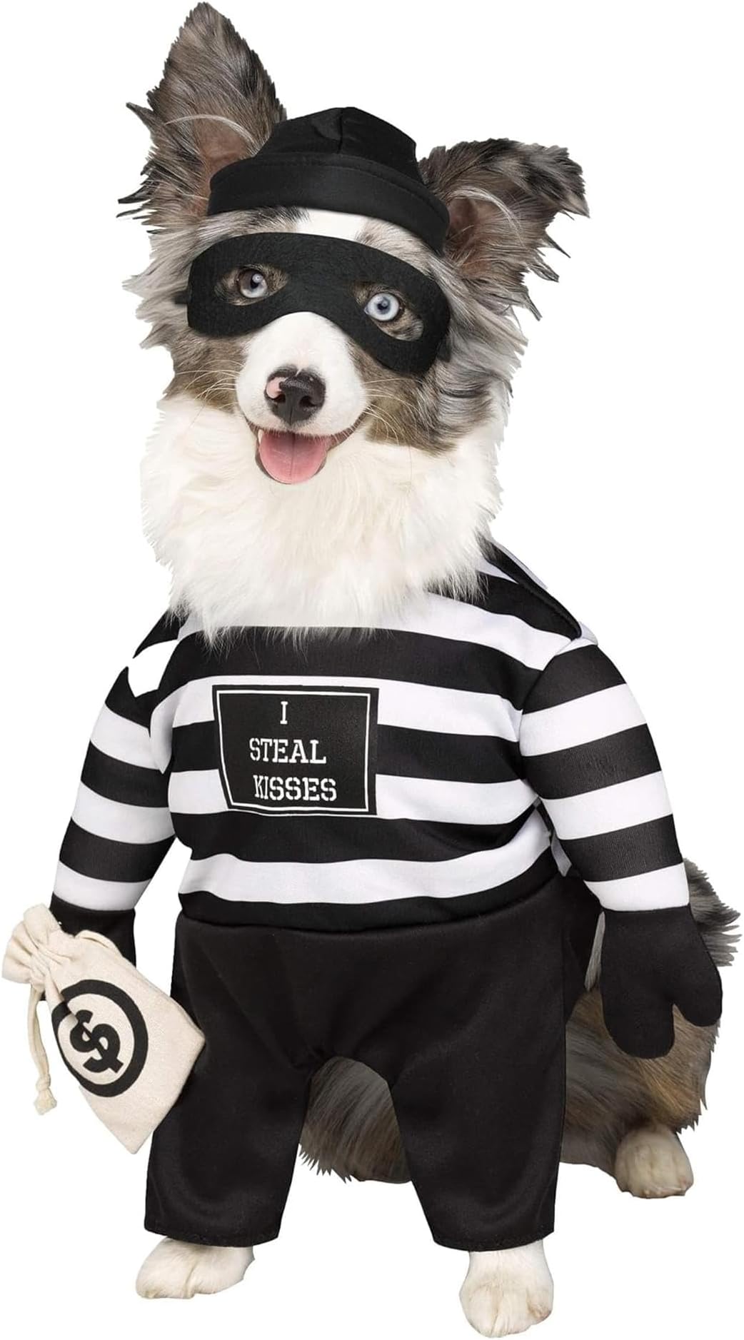 Fun World Robber Pup Costume for Pets
