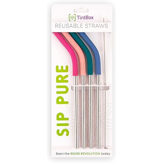 TintBox Reusable Stainless Steel Straws Pack of 4