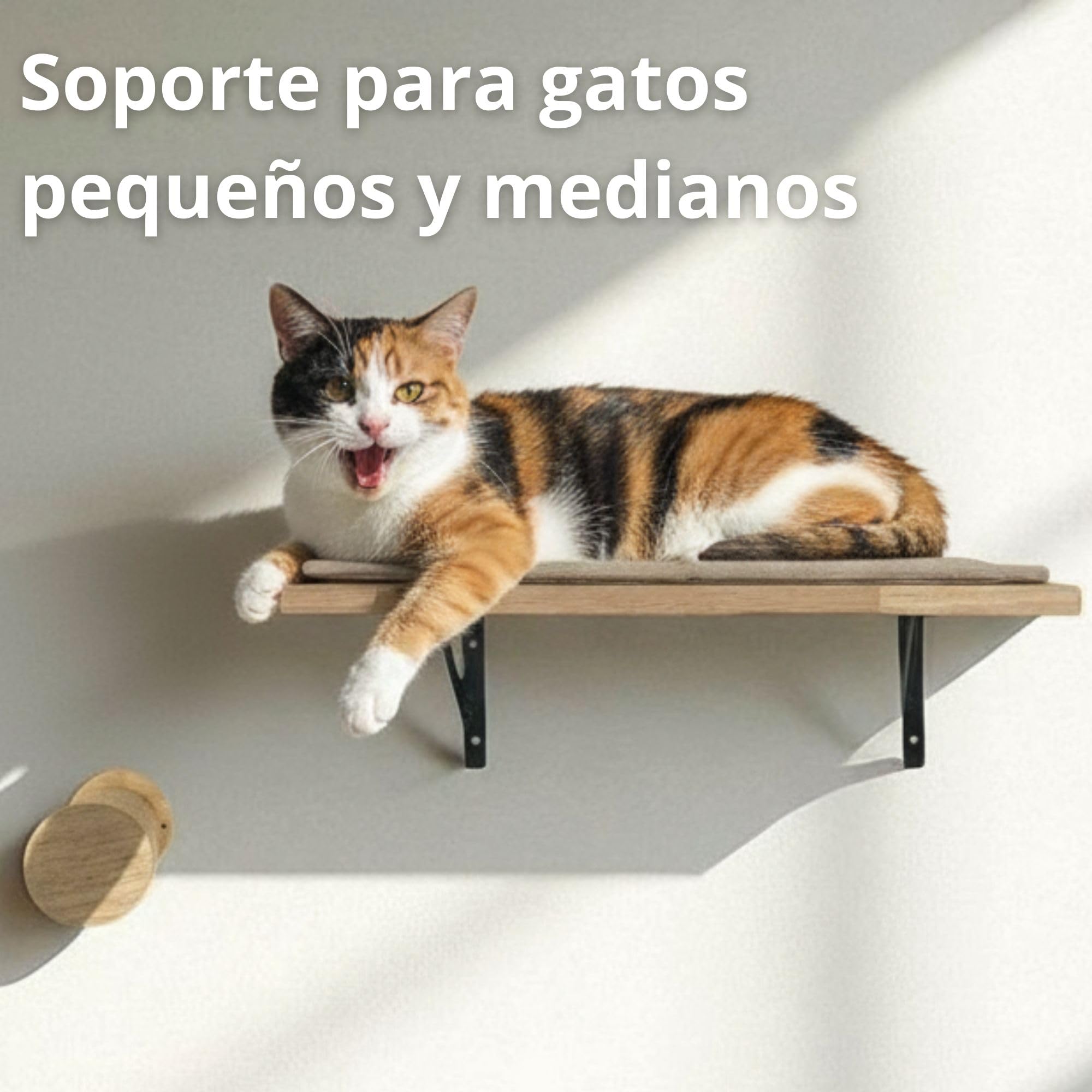 Estantería para Gatos Interior Ancla Mural con Plataforma de Descanso y Rascador de Sisal Antideslizante | Madera de Caucho Sostenible para Pared