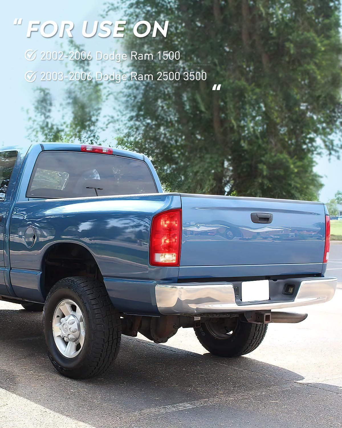 Nilight Taillight Assembly Compatible with 2002 2003 2004 2005 2006 Dodge Ram 1500 2500 3500 Rear Lamp Replacement OE Style Driver Side