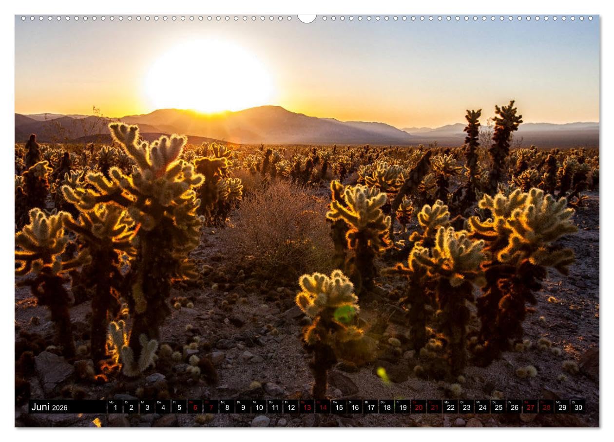 Landschaftliche Schätze (hochwertiger Premium Wandkalender 2026 DIN A2 quer), Kunstdruck in Hochglanz: Landschaftskalender mit atemberaubenden Motiven und unberührten Landschaften. (CALVENDO Natur)