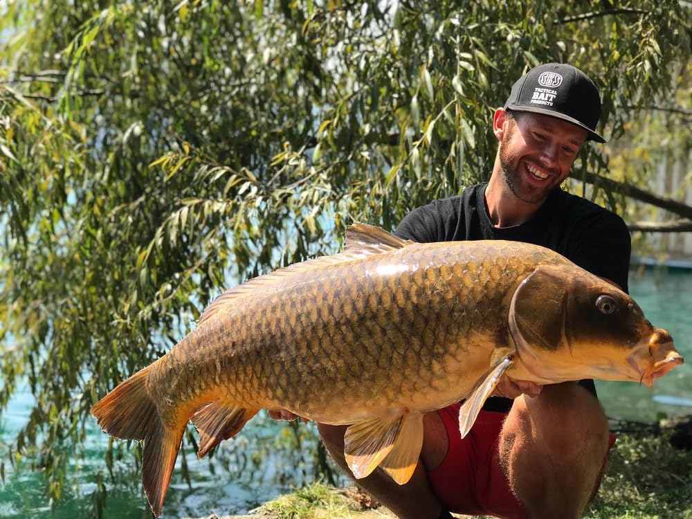 10kg Eurobase Boilies 20 mm Tigernut Tigernuss Futter Karpfen Köder Angeln