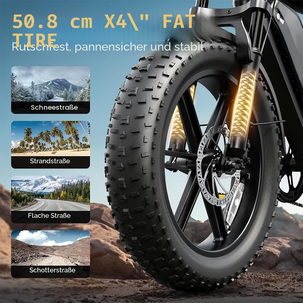 C20 Elektrofahrrad mit austauschbaren Akkus (52 V, 40 Ah / 48 V, 20 Ah / 48 V, 15,6 Ah), 20-Zoll-Reifen, 7-Gang-Hydraulikbremse – All-Terrain-Offroad-Elektrofahrrad