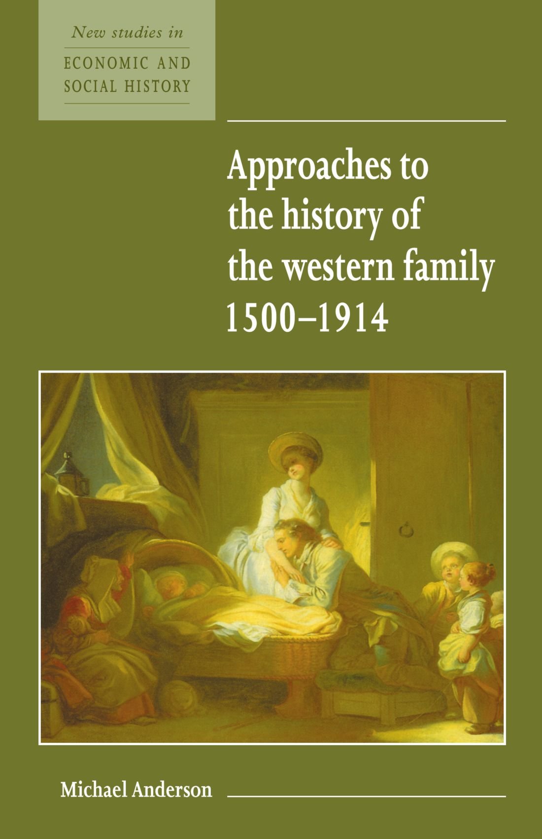 Approaches to the History of the Western Family 1500-1914: 1 (New Studies in Economic and Social History, Series Number 1)