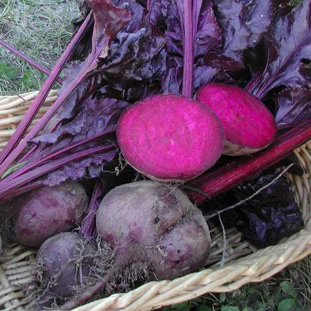 Golden Hills Farm Beetroot chukandar Hybrid Seeds 200+ seeds (B096G632V1) Amazon Price History, Amazon Price Tracker
