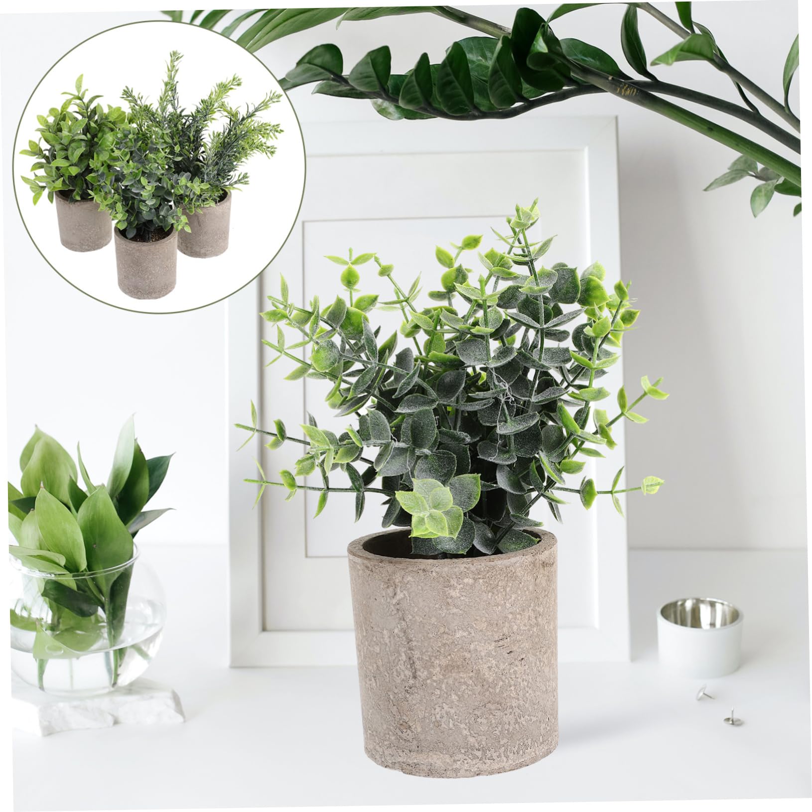 Zerodeko 3pezzi Potted Eucalyptus Per Decorazione Per e Casa Centrotavola Per Spazi