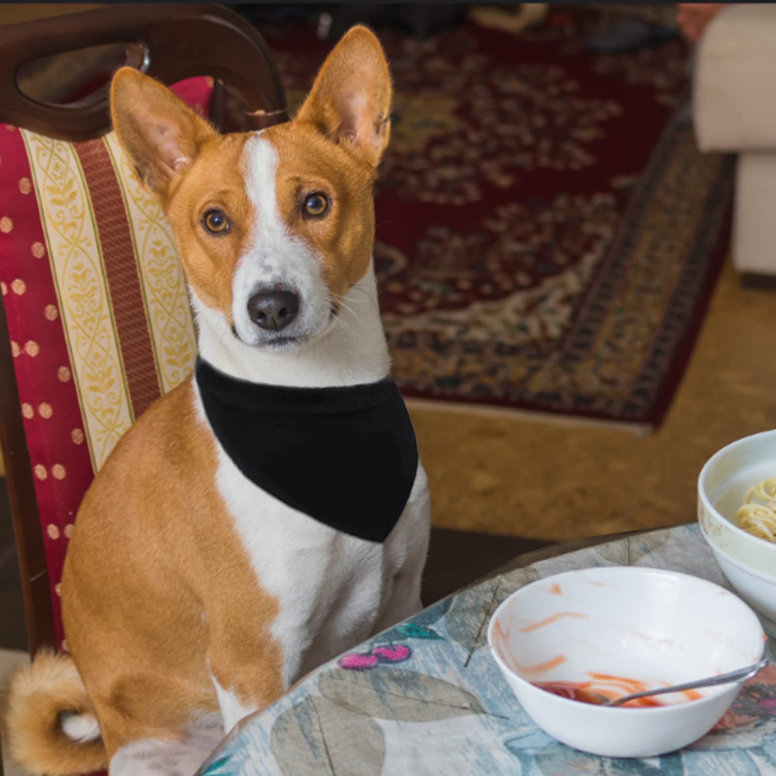 Bandana per animali domestici, 12 pezzi, a forma di triangolo, per cani e gatti, colore: nero