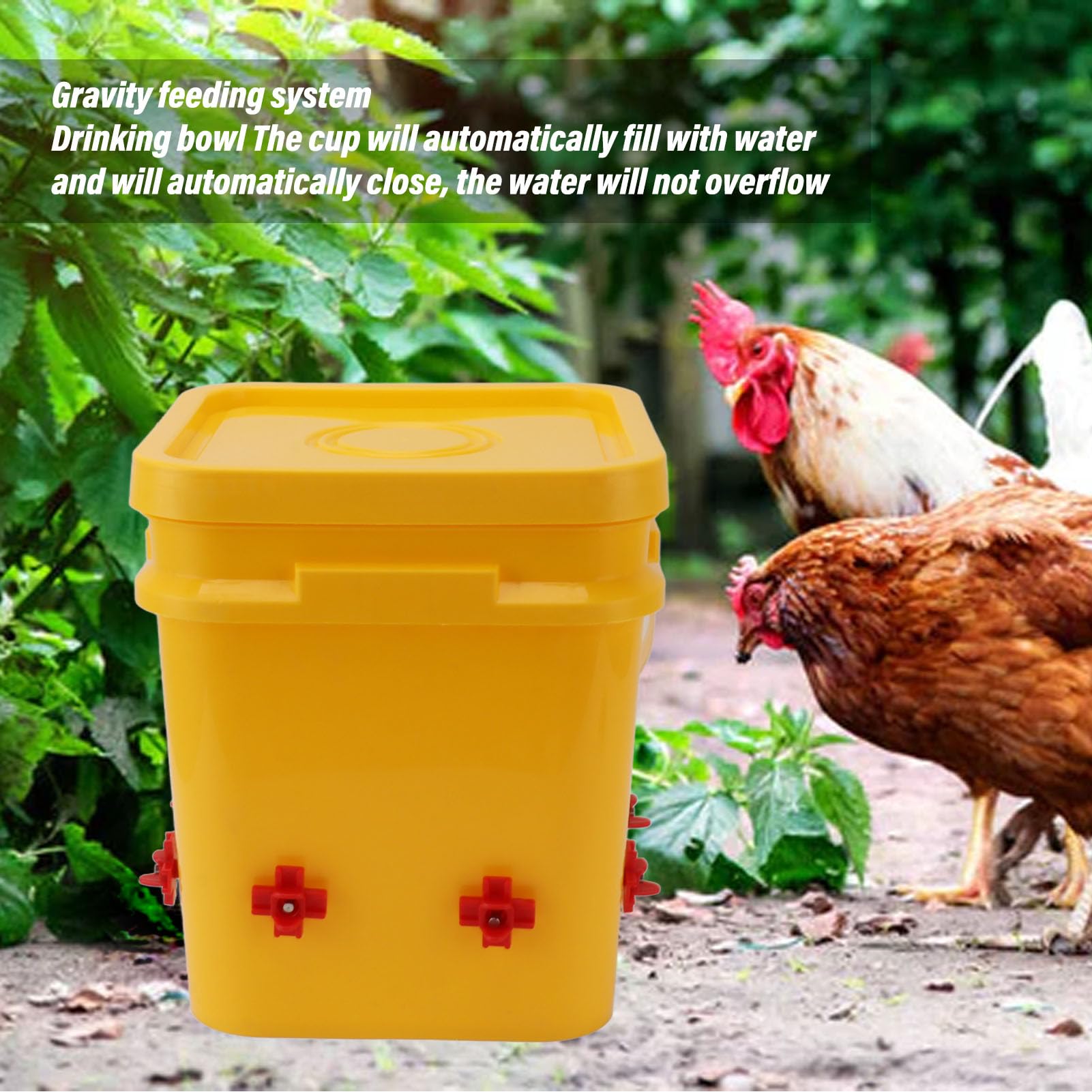 Vaso Automático con Barril de 2 litros, Equipo para Beber Aves de Corral para Pato Ganso, Tazón Rojo Grande, Tornillos, Kit de Comedero de Llenado Automático para Aves de Corral