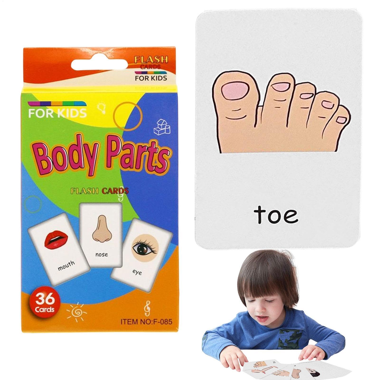 Toddler - Animal Sight Word Games | Body Parts Flash Cards | Kids Learning Toys for Classroom | Educational Toys for Kindergarten Preschool 3 4 5 6 Years Old Boys Girls