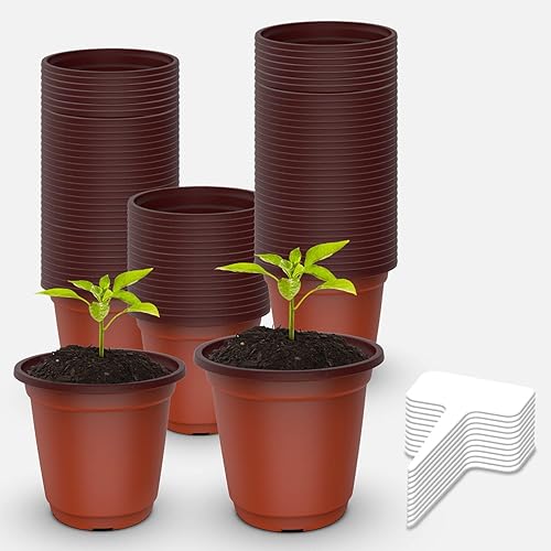 Innens 100 macetas de plástico de 4 pulgadas para plantas de vivero macetas de plántulas contenedor de plantas de flores macetas de inicio de disponible en Yaxa Guatemala