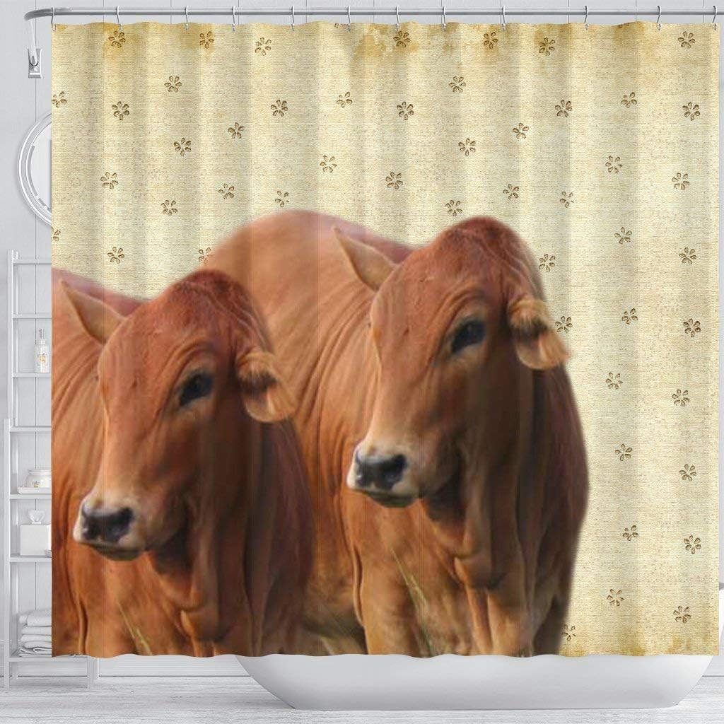 Cute Boran Cattle (Cow) Print Shower Curtain
