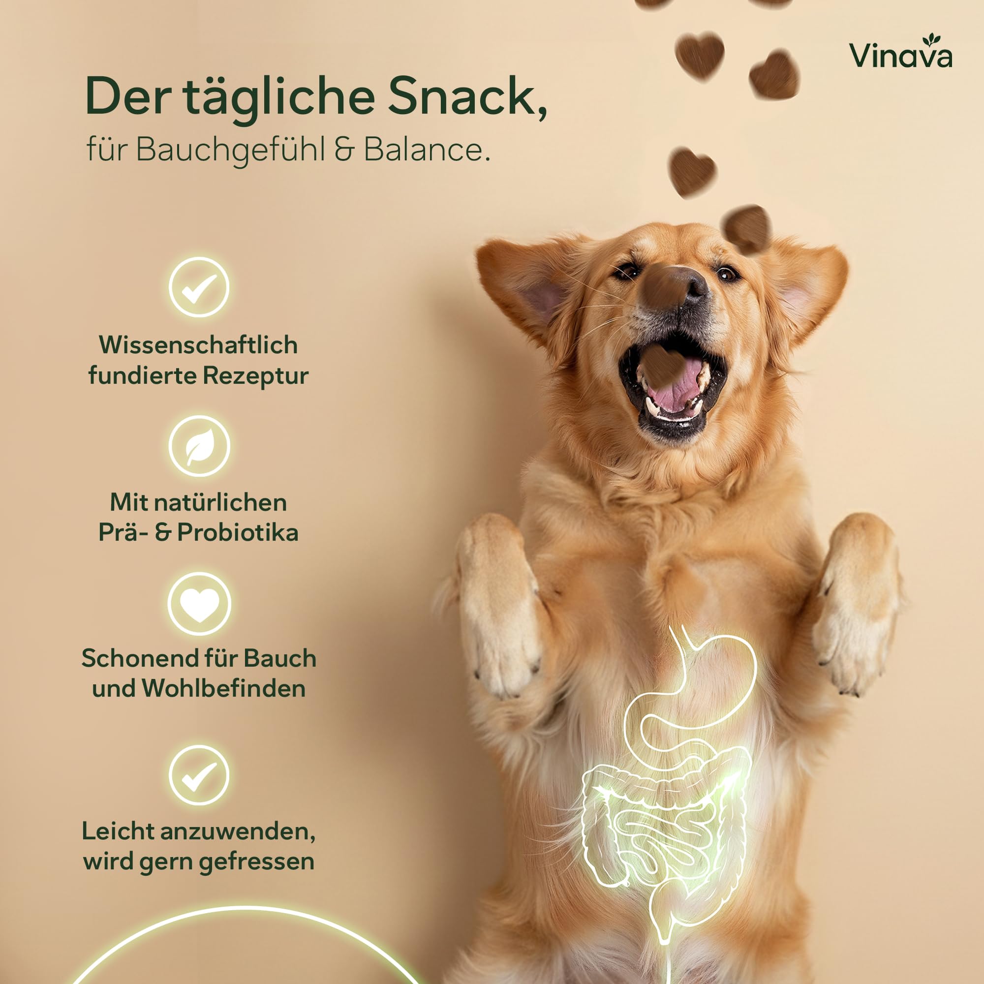 FloraCare+ Probiotika Hund – Darmkur bei Durchfall, Blähungen & Sodbrennen | Darmflora aufbauen & Magen-Darm stärken | Präbiotika + Probiotika für Hunde | Magenschutz & Darmwohl | 60 Stück