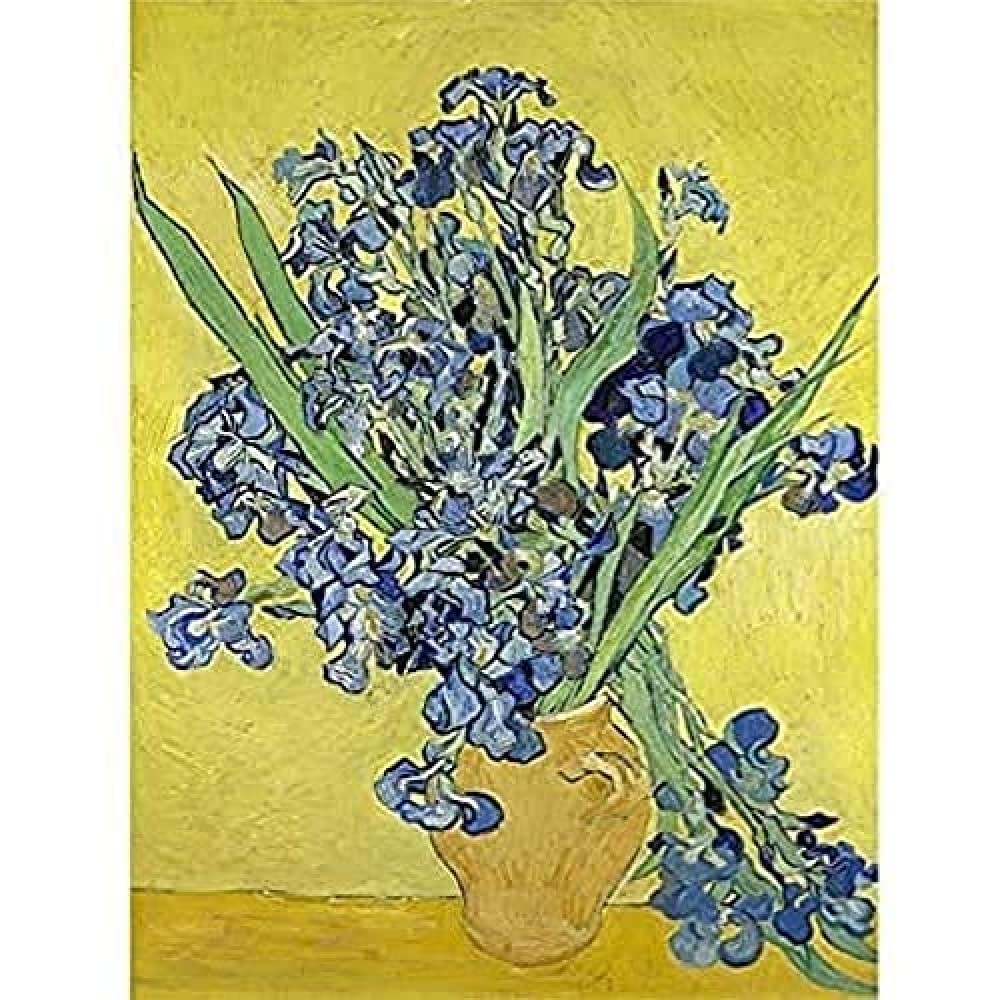 Van Gogh Irises Painting Wall Art Print