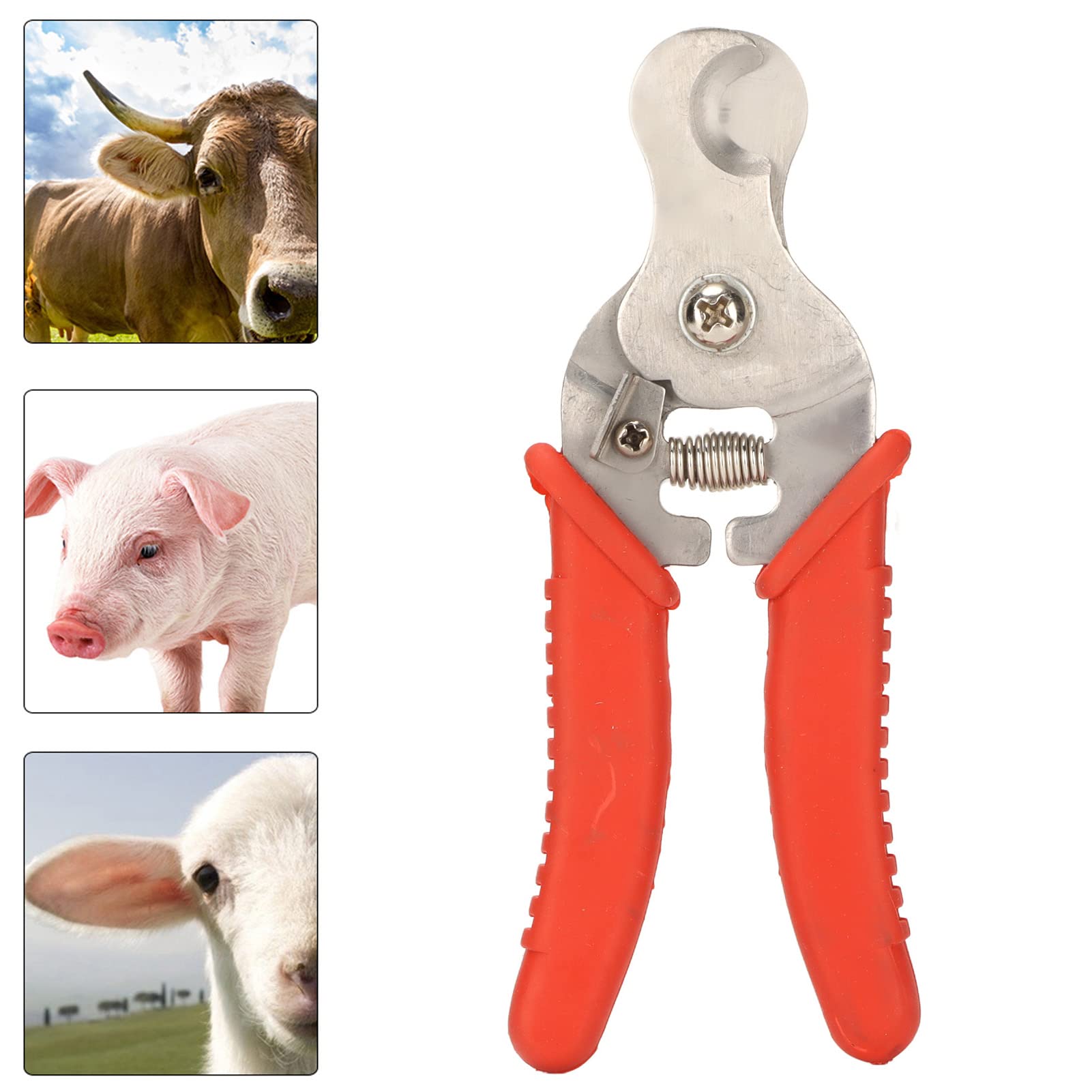 Pince à Enlever les étiquettes D'oreille Pince à Enlever les Animaux Couper L'étiquette D'oreille D'animal en Acier Inoxydable pour les Fournitures de santé du Bétail Poultry Farming Supplies