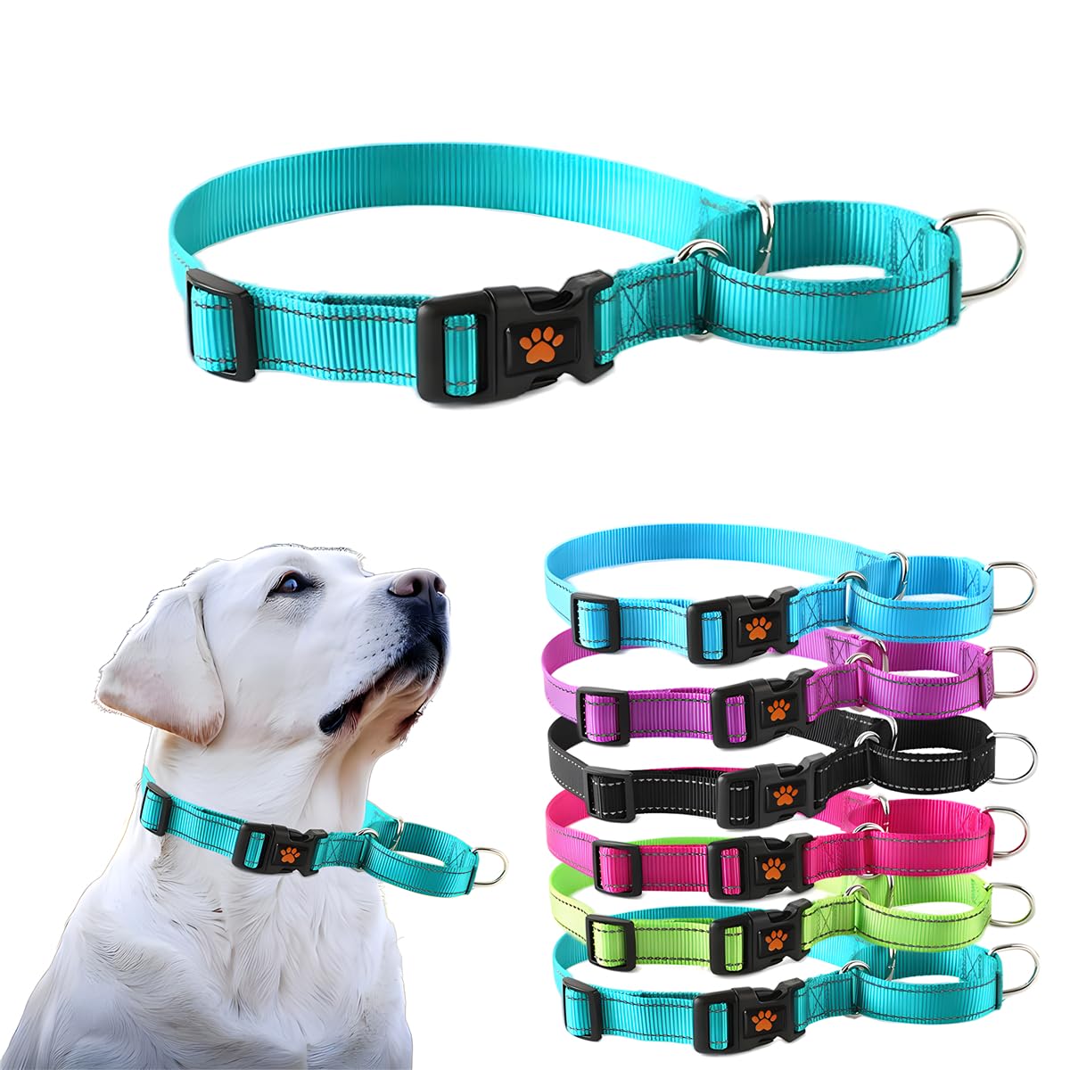 Martingale Dog Collar No-Pull Reflective Training Collar For