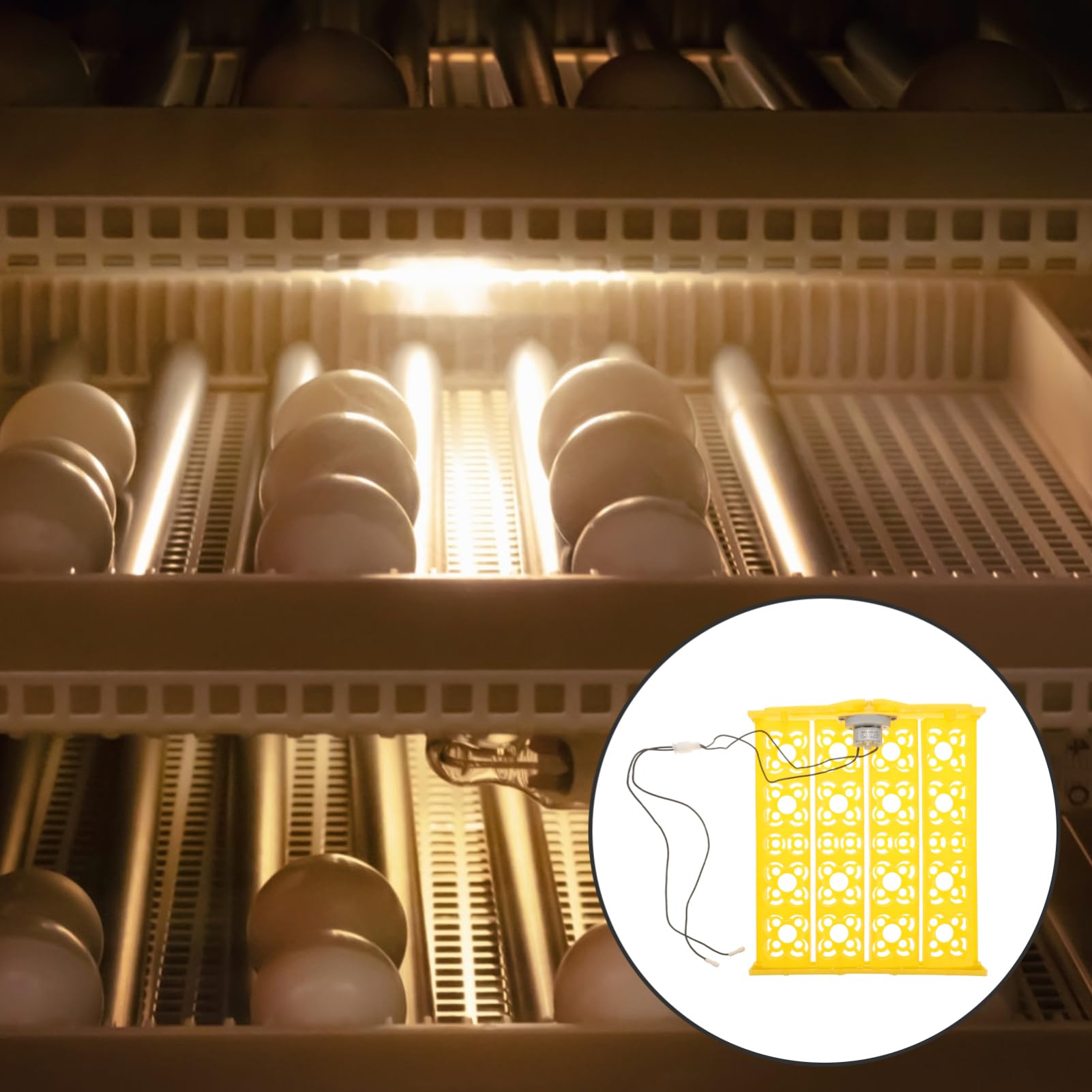 ibasenice Bandeja de Incubación Automática 16 Piezas de Plástico Reutilizable y Estable para Huevos de Codorniz y Pavo para Uso Doméstico en Incubadoras