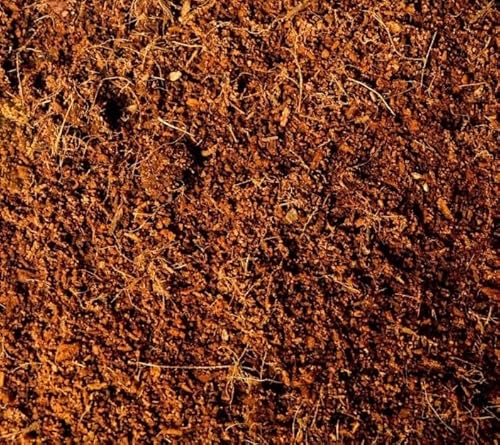 Substrato P/Terrários Jabutis e Cágados Répteis 5 L