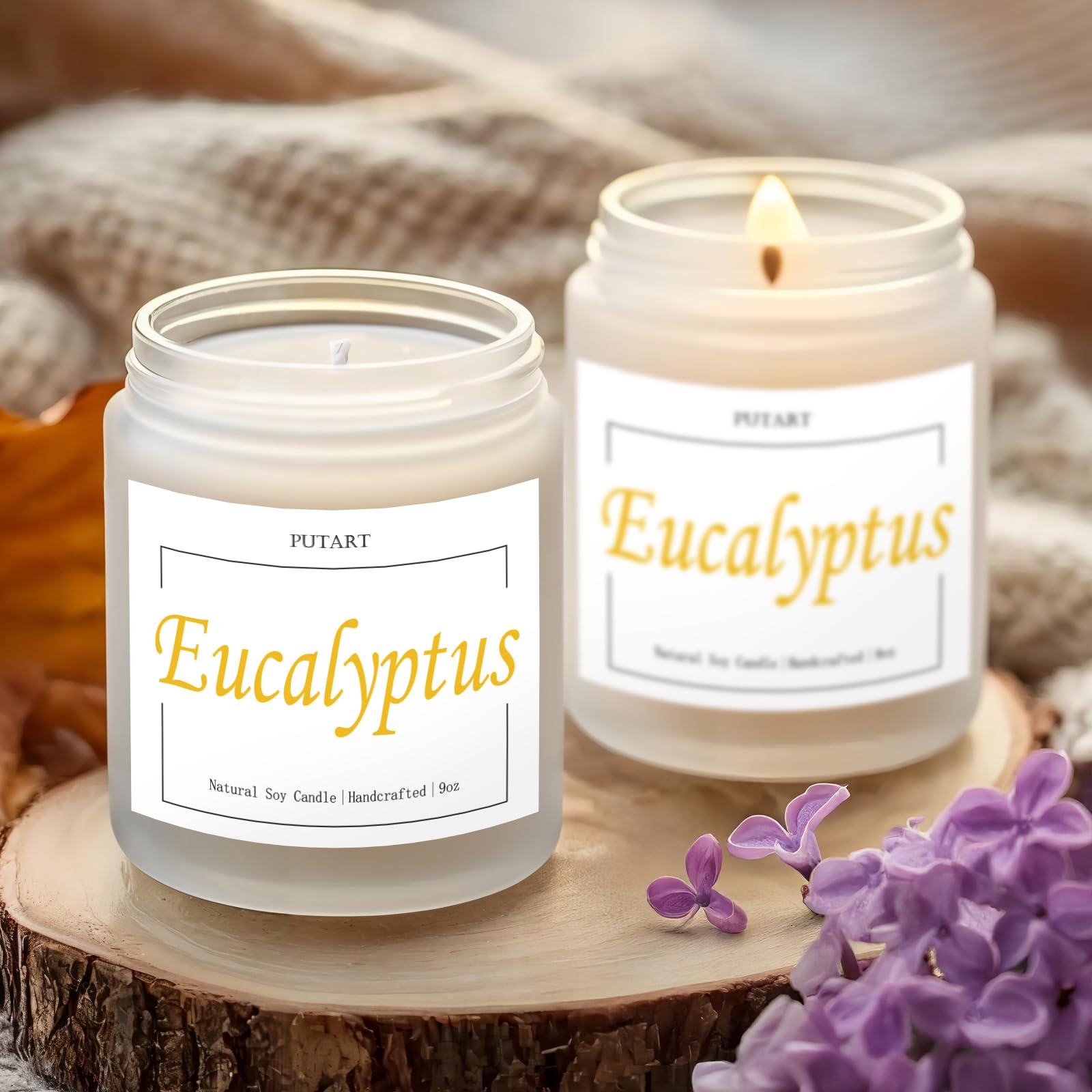 Velas perfumadas de eucalipto para mujer, velas de aromaterapia, velas de soja para el hogar