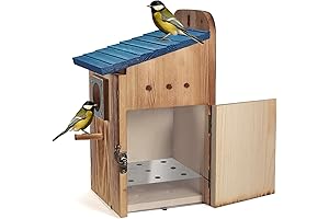 Blue Bird Blue Bird, Houses Perfect for the Fowl