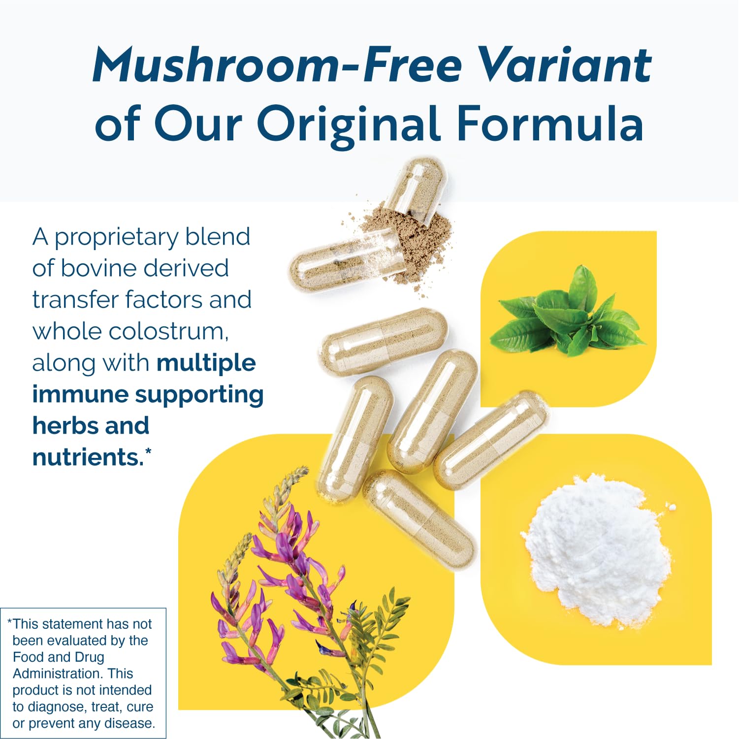 Researched Nutritionals Transfer Factor Multi-Immune Colostrum Supplement - Mushroom-Free Immune Support with Zinc, Beta Glucan, and Green Tea - Backed by Clinical Research (90 Capsules) — Amazon image 3