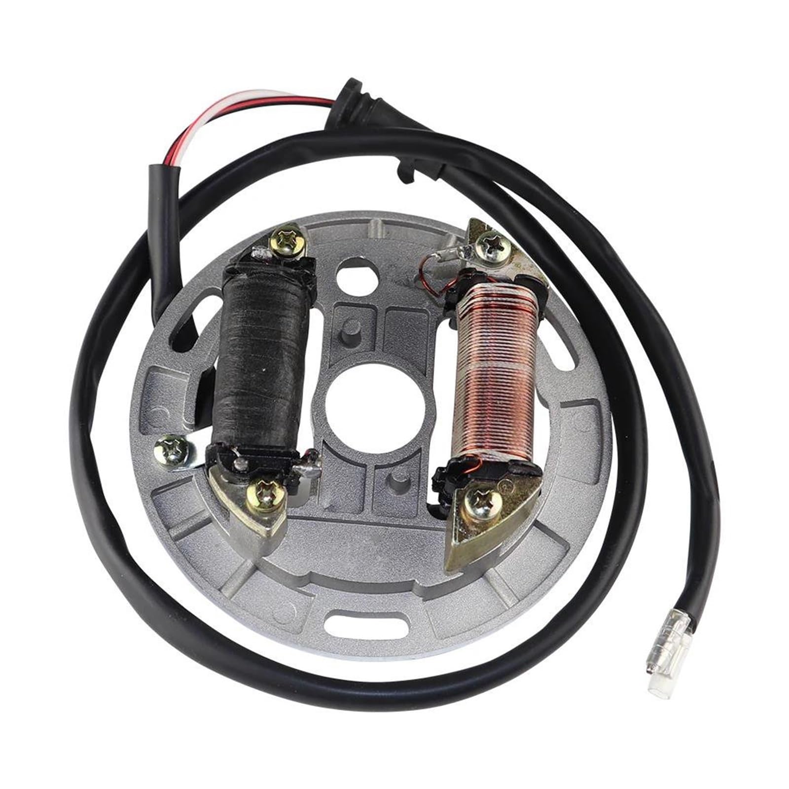 Dispositivi Accensione Moto Per LT80 Per LT 80 Per Quad Per Sport 80 Per Quadsport Bobina Di Accensione Magneto Statore Piastra Parti Di Ricambio 21003-S005 Kit Accensione Motocicletta