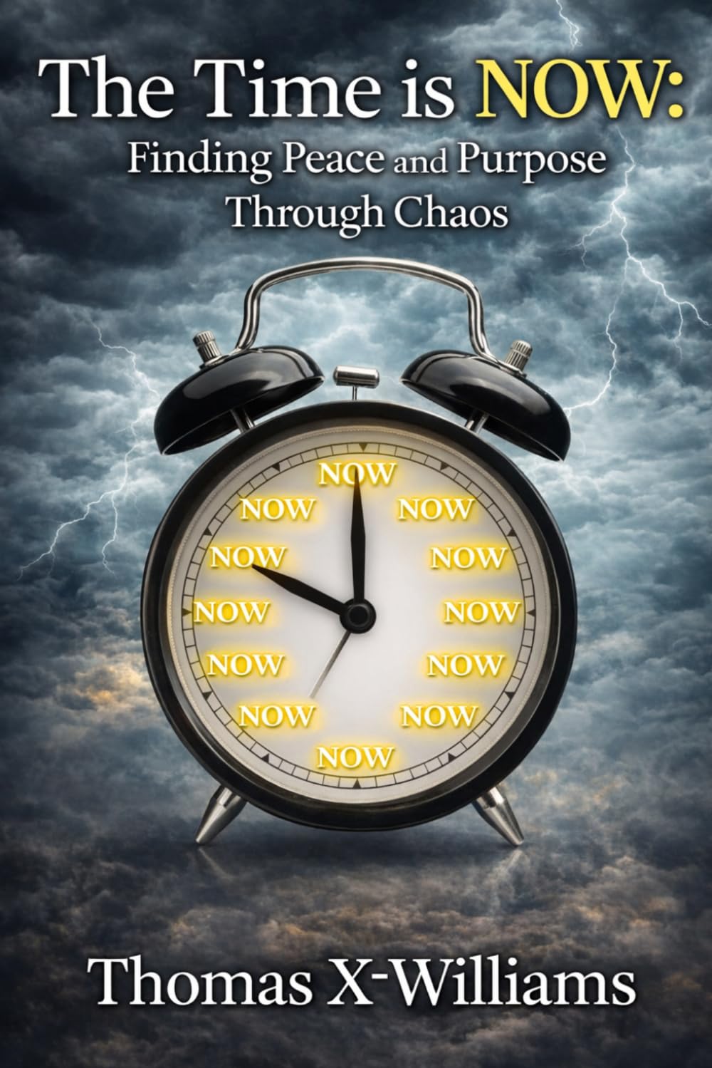 The Time is NOW:: Finding Peace and Purpose Through Chaos
